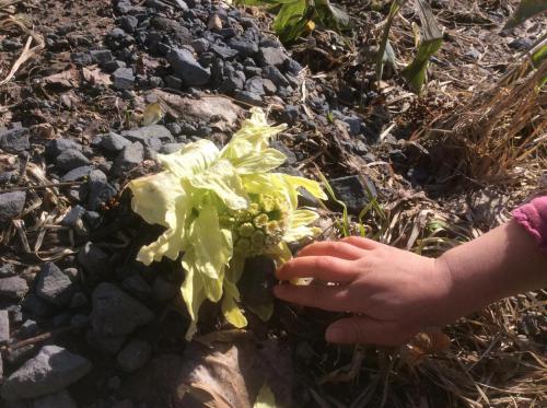 51632646_797294367301540_1126731910727335936_n